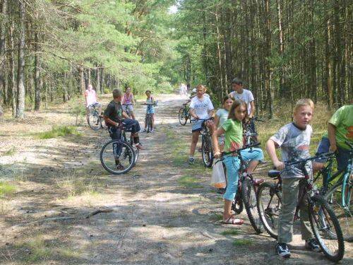 Wycieczka rowerowa po leśnych duktach.