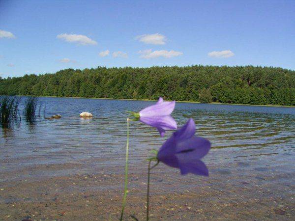 Dom Bratek Czyste jezioro Głębokie