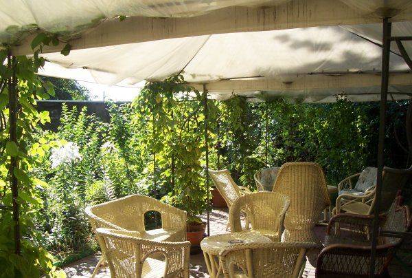 Noclegi Pod Wierzbą 