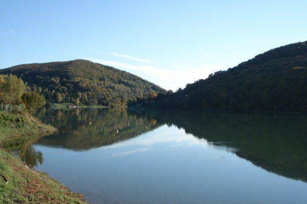  Wierzbowy Zakątek nad Zalewem Solińskim