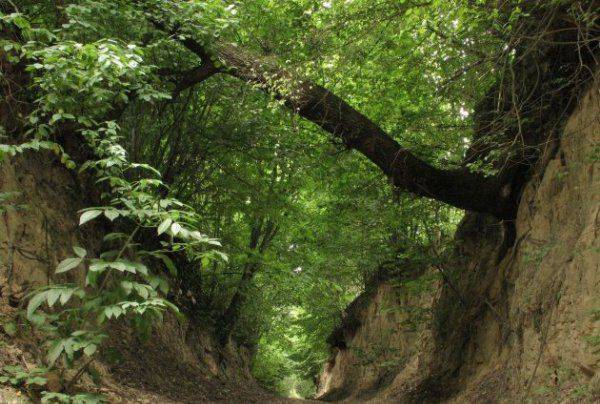 Gospodarstwo Agroturystyczne Zagaje