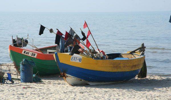 Pokoje gościnne u Izy