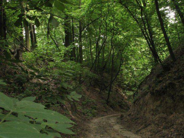 Gospodarstwo Agroturystyczne Zagaje