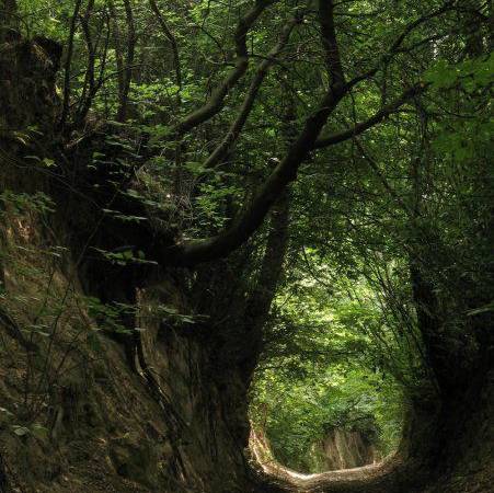 Gospodarstwo Agroturystyczne Zagaje