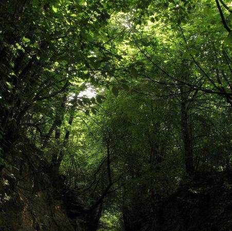 Gospodarstwo Agroturystyczne Zagaje