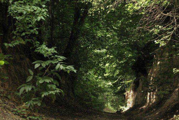 Gospodarstwo Agroturystyczne Zagaje