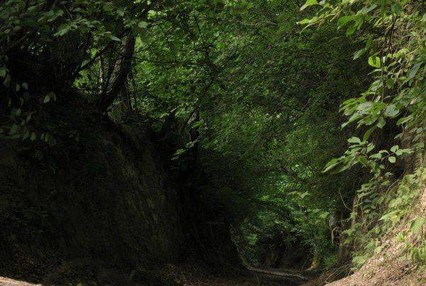 Gospodarstwo Agroturystyczne Zagaje