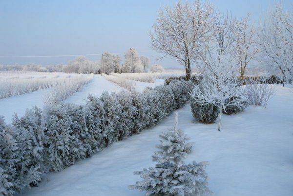 Gospodarstwo Agroturystyczne Zagaje