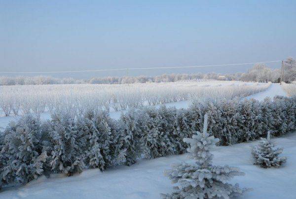 Gospodarstwo Agroturystyczne Zagaje