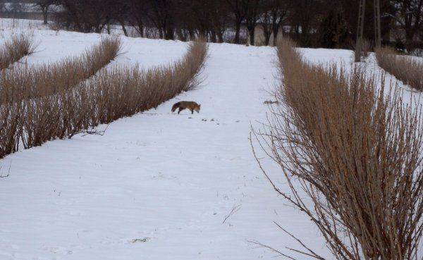 Gospodarstwo Agroturystyczne Zagaje