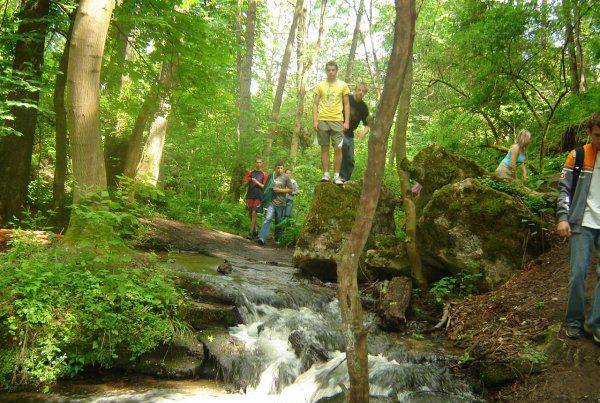 Rezerwat Czartowe Pole.