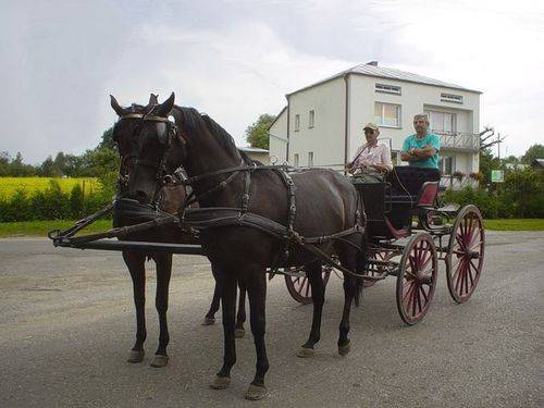 Gospodarstwo Czesława Caruk