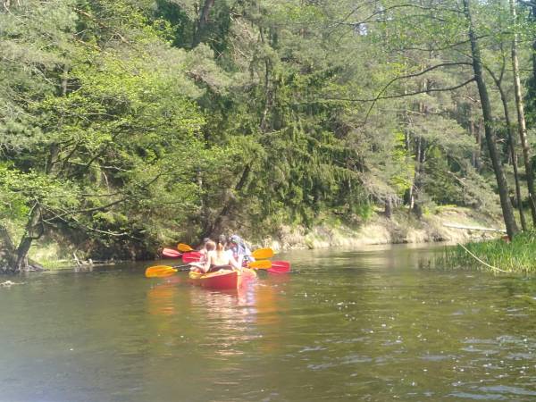Agroturystyka nad Jeziorem Białym