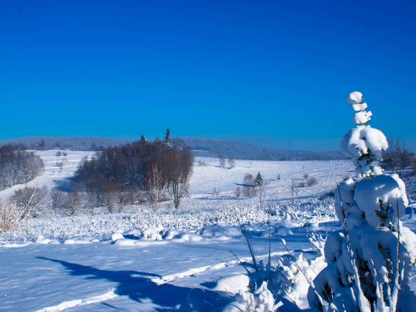 Piaskowy Koń - domki Karkonosze 