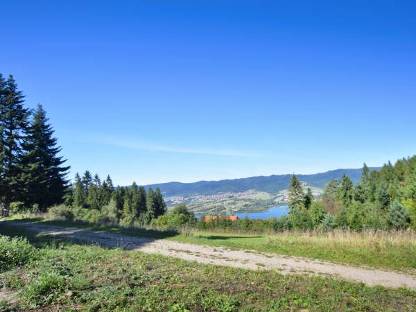 DOMKI ZIELONE SKAŁKI