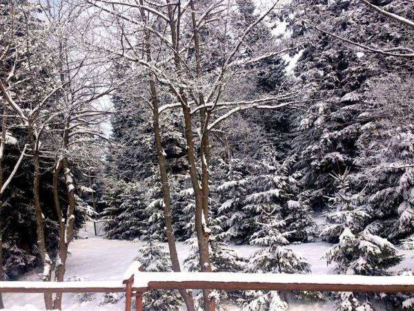 Ośrodek Wypoczynkowy Prometówka