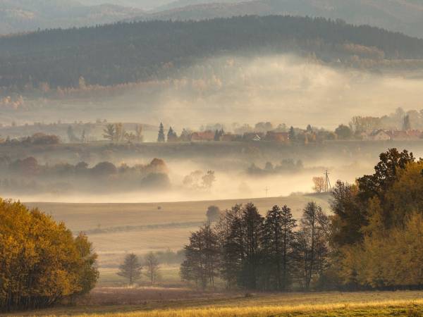 Domki Cisza i Spokój