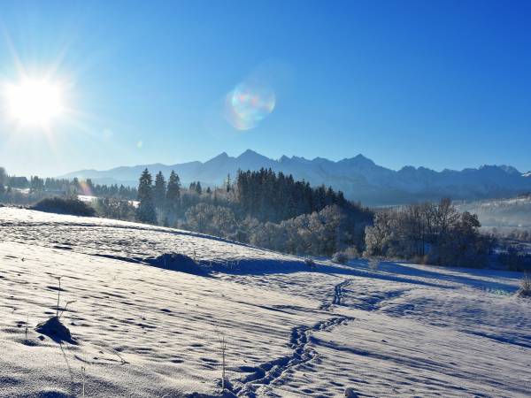 Willa Zielona Polana