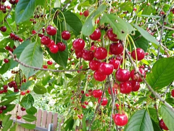 Agroturystyka nad Jeziorem Białym