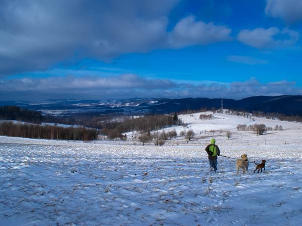 Piaskowy Koń - domki Karkonosze 