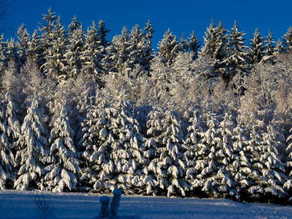 Piaskowy Koń - domki Karkonosze