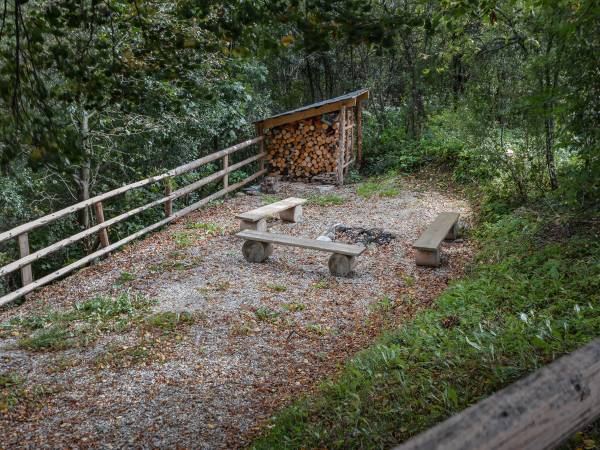 Apartamenty Pod Lipami