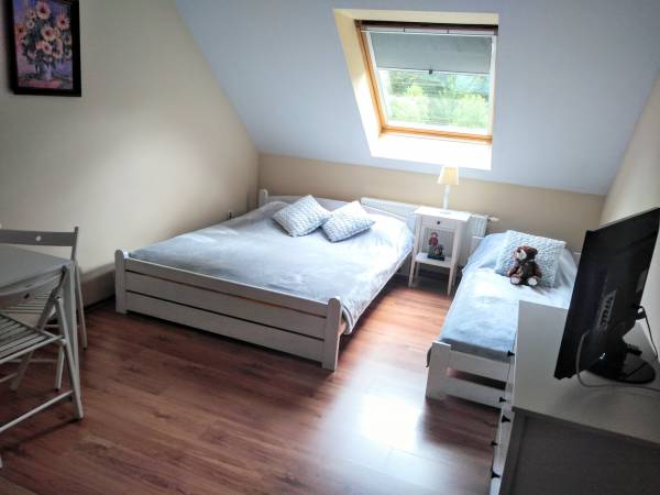 Apartament słonecznikowy 3 osobowy