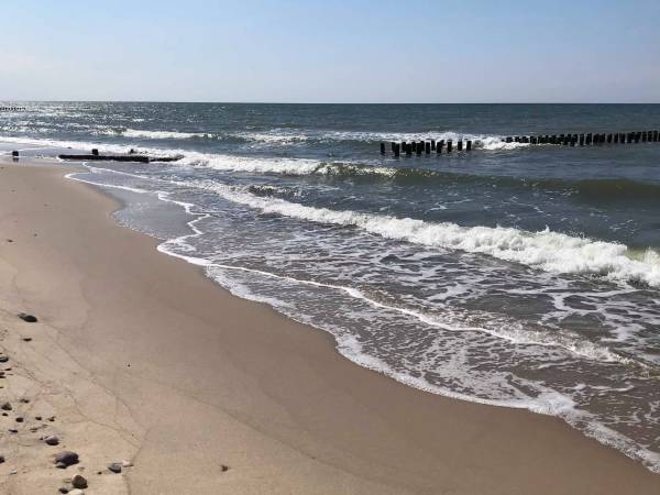 Domki letniskowe Pod Sosenką