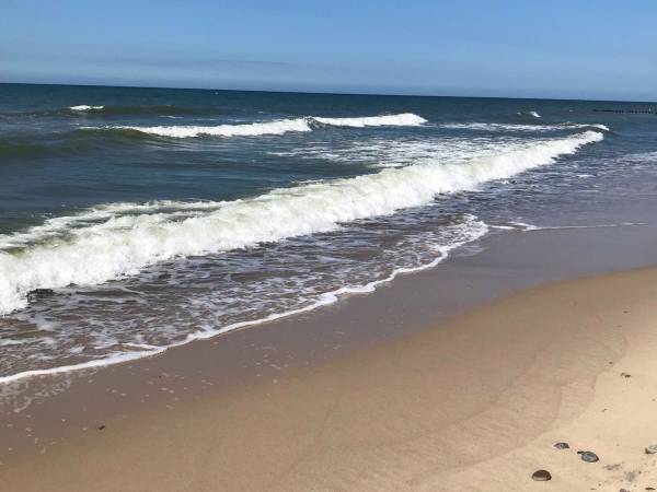 Domki letniskowe Pod Sosenką