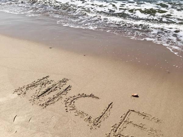 Domki letniskowe Pod Sosenką