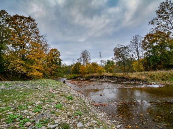 Pokoje Gościnne i Komfortowy Domek Siedlisko Moczarne