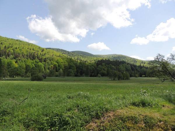 Domki pod Lipą i Domek u Jasi
