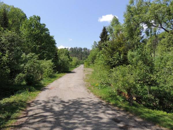 Domki pod Lipą i Domek u Jasi