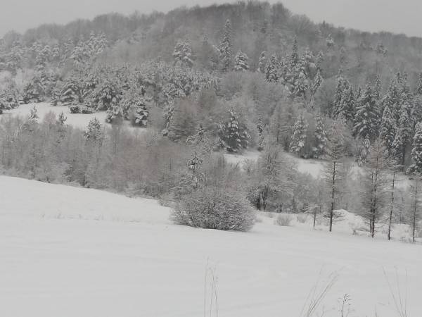 Domki pod Lipą i Domek u Jasi