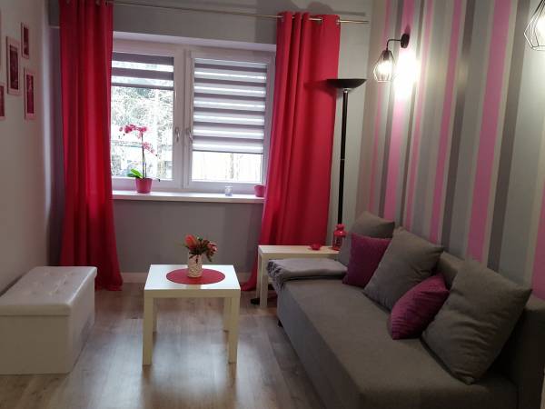 salon z rozkładaną kanapą