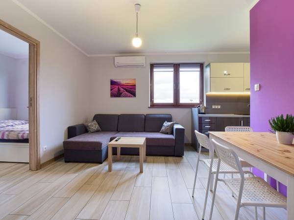 Apartament parter - salon