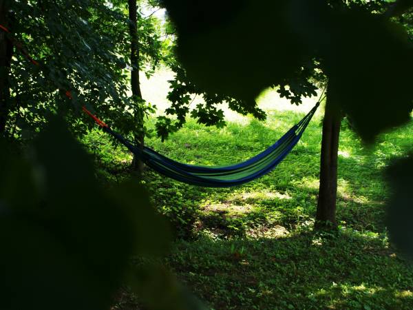 Akacjowe Zacisze to cisze i spokojne miejsce otoczne drzewami i kolorowymi kwiatami.