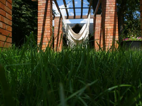 Na obszarze 3-hektarów znajduje się mnóstwo uroczych i ustronnych miejsc z hamakami i leżakami.