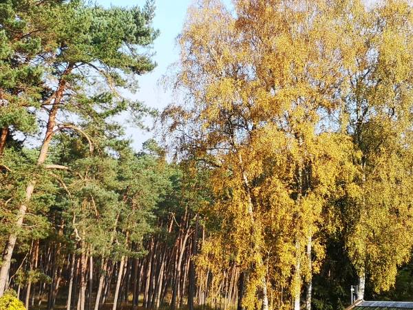 Apartament Biała Mewa