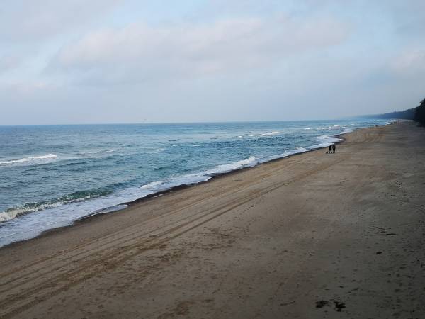 Apartament Biała Mewa