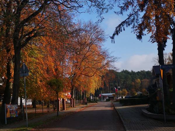 Apartament Biała Mewa