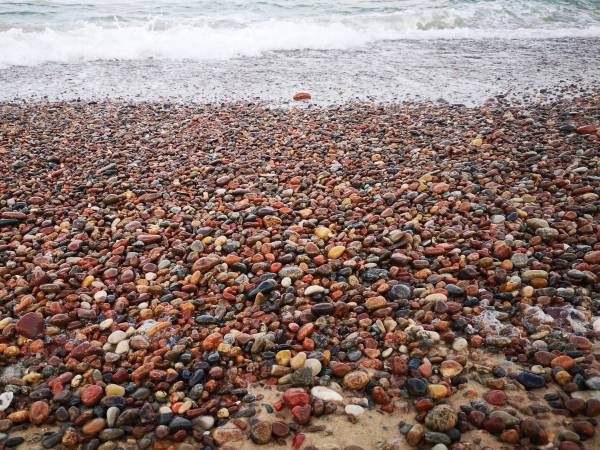 Apartament Biała Mewa