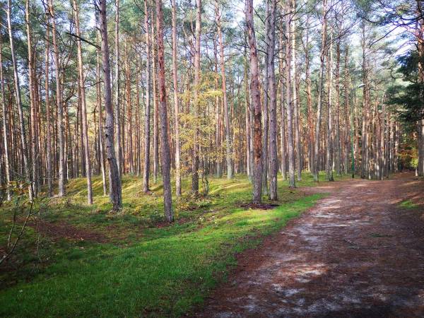 Apartament Biała Mewa