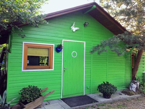 Flamandia Domek Zielony w sadzieFlamandia domek zielony taras