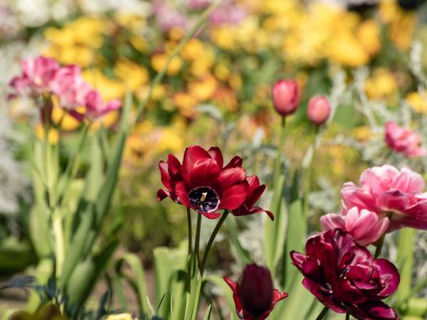 Ośrodek Rehabilitacyjny Leśna Polana