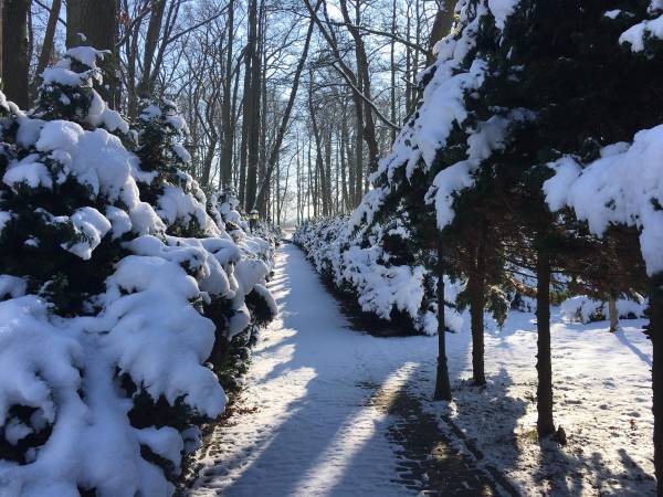 Ośrodek Rehabilitacyjny Leśna Polana