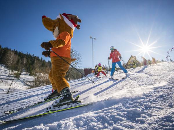 Nasze przedszkole i szkółka