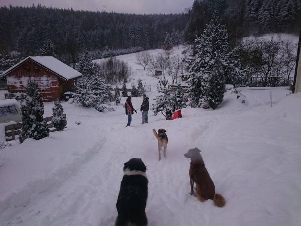 Agroturystyka-Zagroda Studzienno