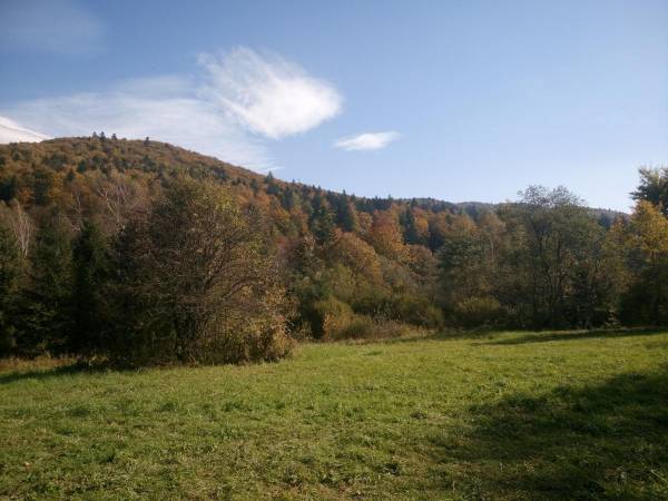 Domki pod Lipą i Domek u Jasi