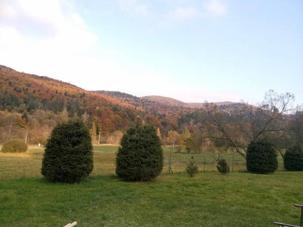 Domki pod Lipą i Domek u Jasi